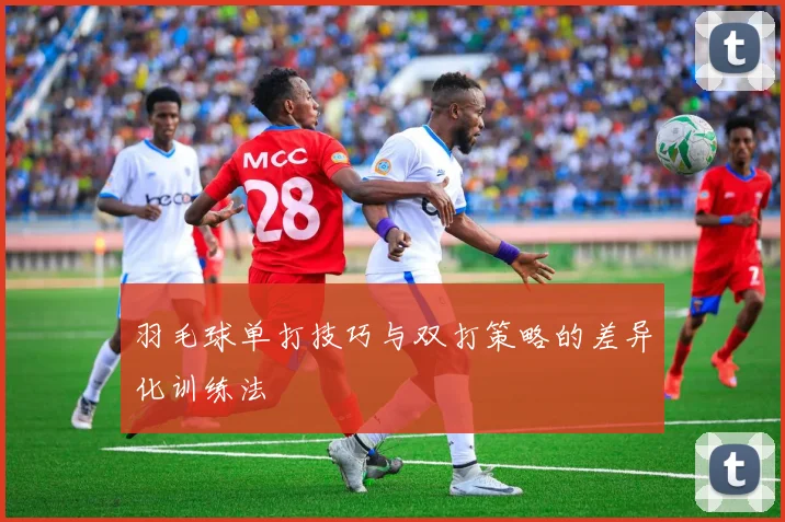 羽毛球单打技巧与双打策略的差异化训练法